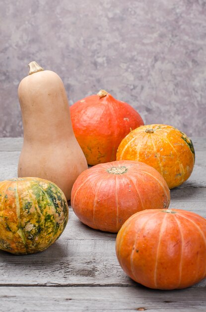 Citrouilles sur table en bois