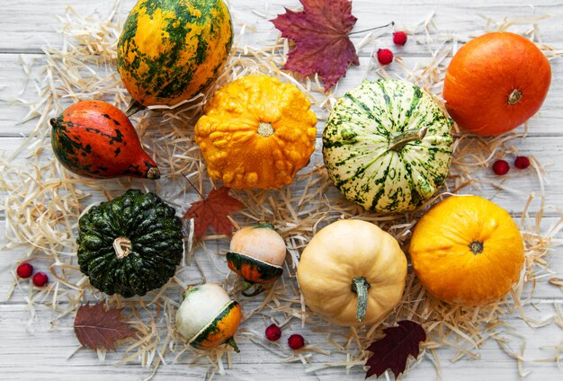 Citrouilles sur une table en bois