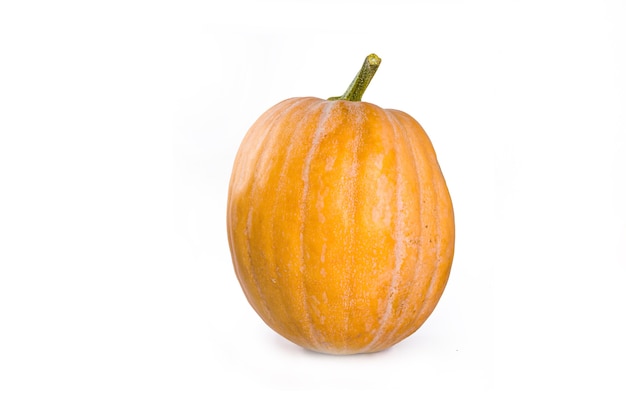 Citrouilles de Thanksgiving d'automne isolé sur fond blanc, avec une ombre