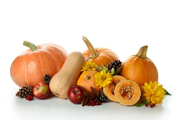 Citrouilles de Thanksgiving Day isolé sur fond blanc