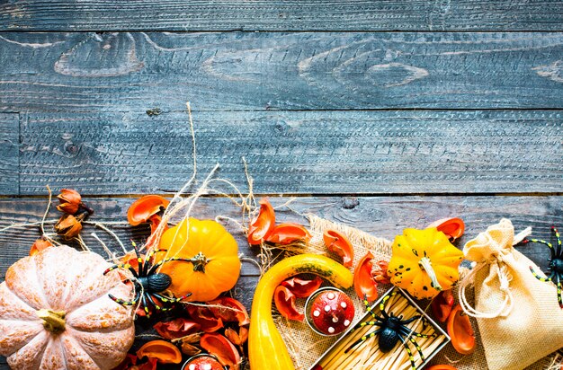 Citrouilles de Thanksgiving, sur fond de bois