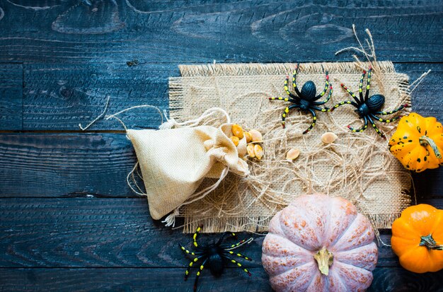 Citrouilles de Thanksgiving sur une table en bois