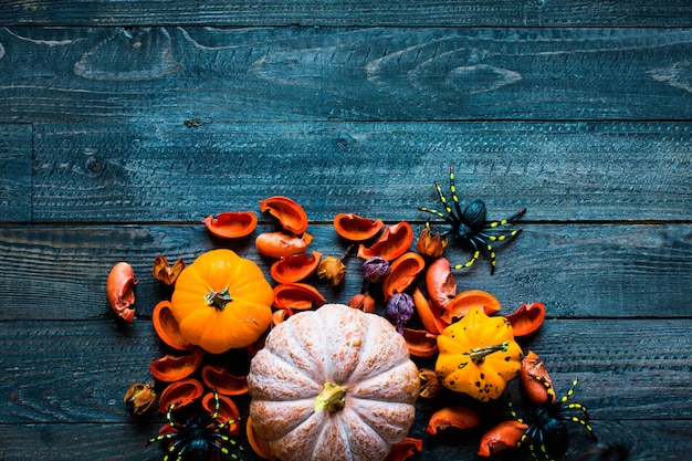 Citrouilles de Thanksgiving sur une table en bois