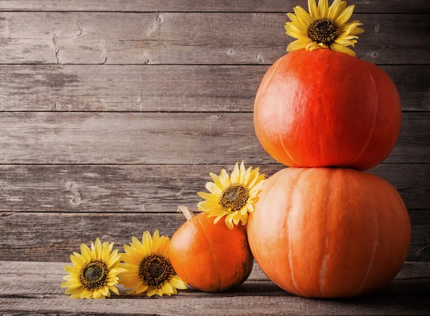 Citrouilles et tournesols sur fond en bois