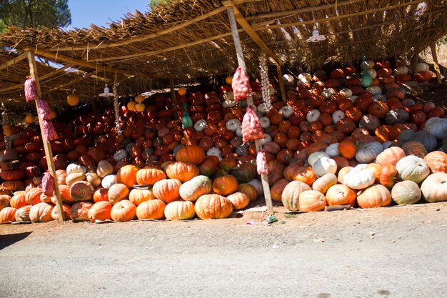 Citrouilles à vendre au marché