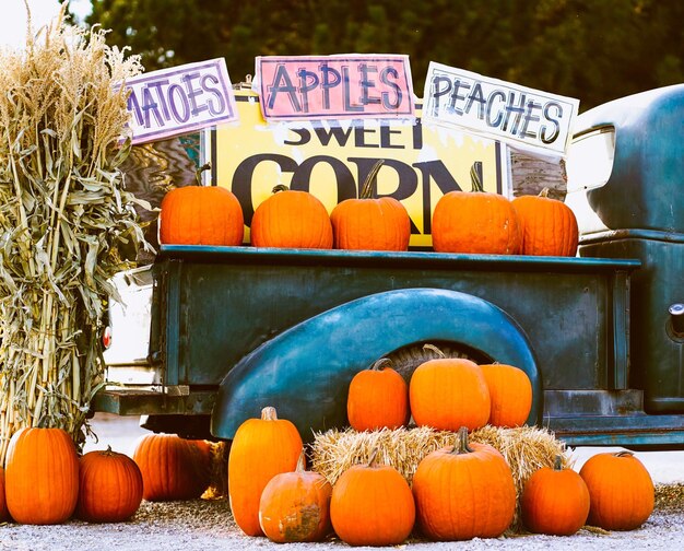 Photo citrouilles à vendre au marché