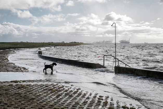 Éclaboussure d'une vague sur le remblai inondé près de la mer