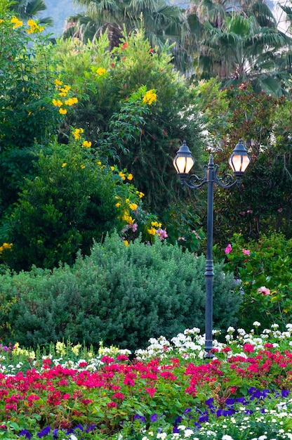 Éclairage public de lanternes dans le parc fleuri