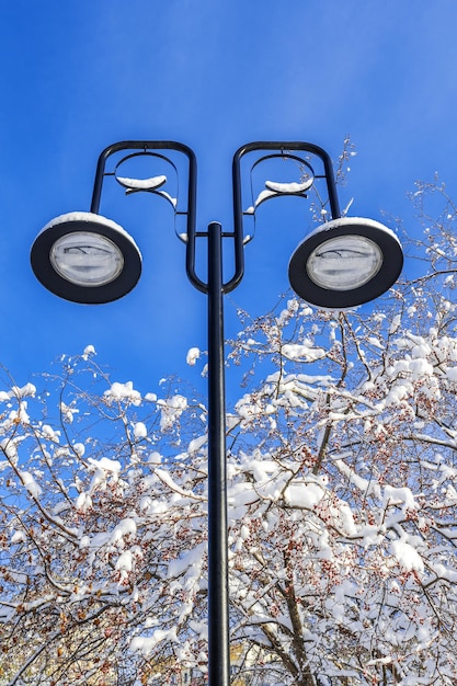 Éclairage de réverbère dans le parc de la ville. Paysage d'hiver urbain