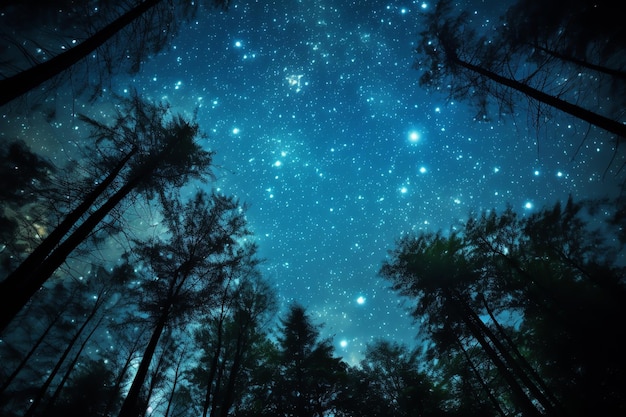 Une clairière de forêt énigmatique pour l'observation des étoiles Fantasy Sky Night stargazing