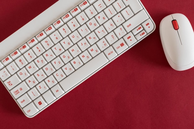 Clavier et souris blancs