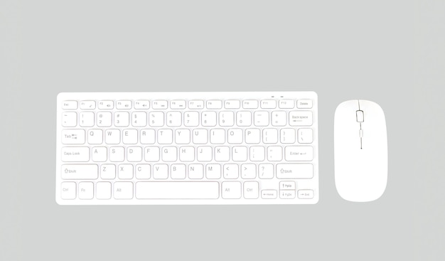 Clavier et souris sans fil mac apple blancs