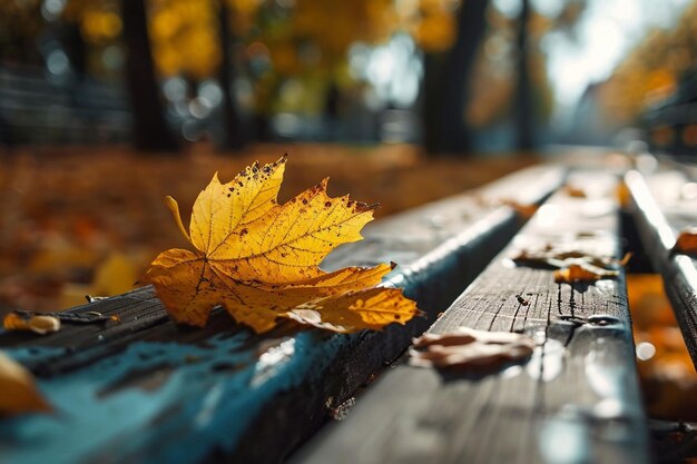 Cliché sélectif de la feuille d'automne jaune sur le banc en bois