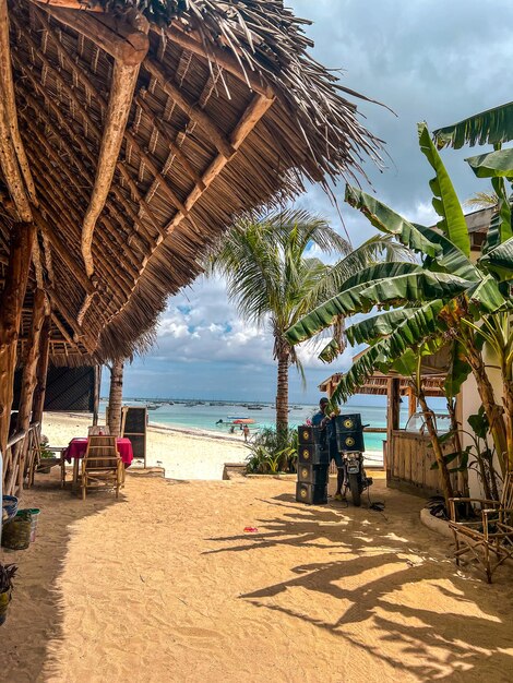 climat tropical à Zanzibar