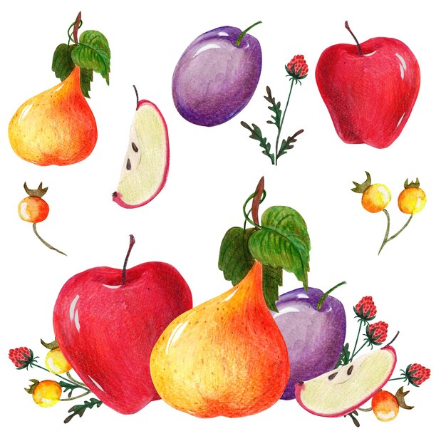 Clipart d'automne avec des légumes et des fruits