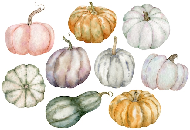 Clipart citrouille d'action de grâces à l'aquarelle. Citrouilles colorées dessinées à la main - rose, gris, orange, vert. Ensemble de récolte de légumes isolé sur fond blanc.