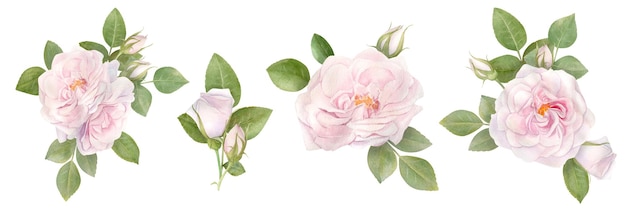 Clipart de jeu aquarelle dessiné à la main avec bouquet de fleurs rose rose