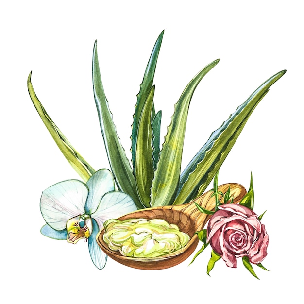 Clipart SPA aquarelle - Collection de produits et éléments SPA et beauté