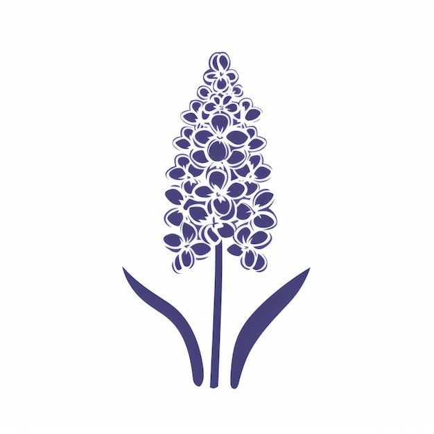 Photo clipart vectoriel de silhouette minimaliste de hyacinth sur fond blanc