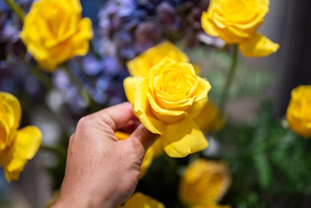 Photo close-up au lubrifiant de fleur de rose jaune qui est disposé comme fleur buch pour la décoration intérieure du mariage