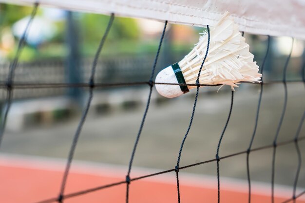 Close-up de la balle suspendue à une corde