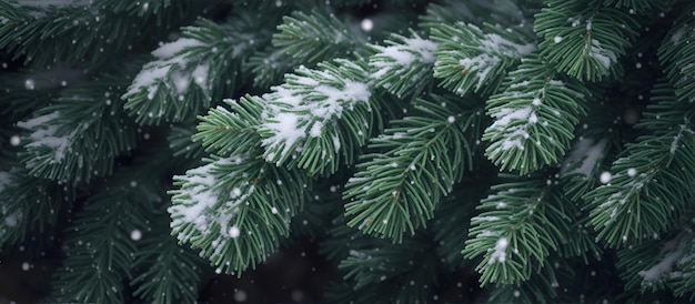 close-up de branches vertes de sapin couvertes de neige avec des flocons de neige qui tombent sur le fond de Noël