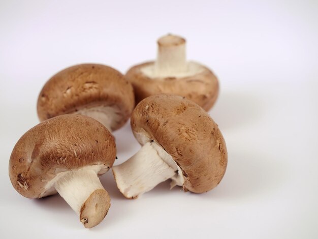 Close-up de champignons sur fond blanc