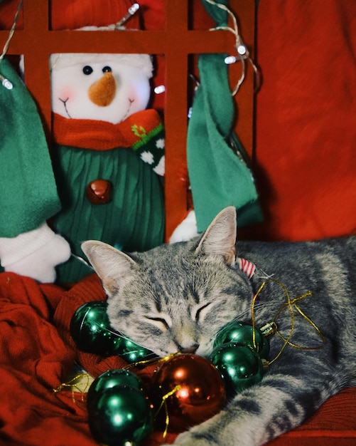 Photo close-up d'un chat avec des décorations de noël à la maison