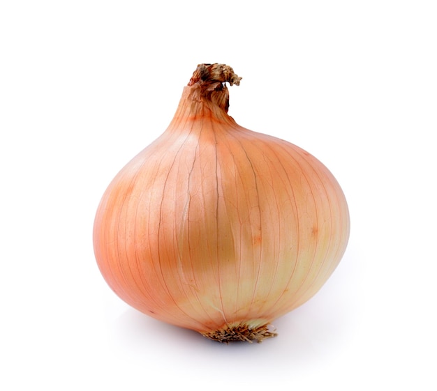 Close-up d'une citrouille sur fond blanc