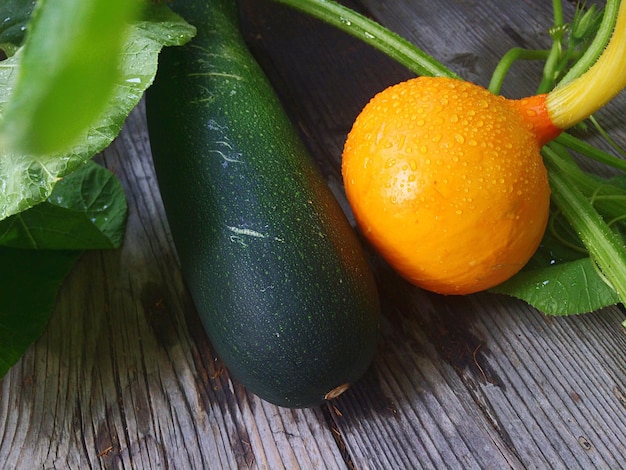 Close-up de courgettes et de citrouilles poussant sur des plantes