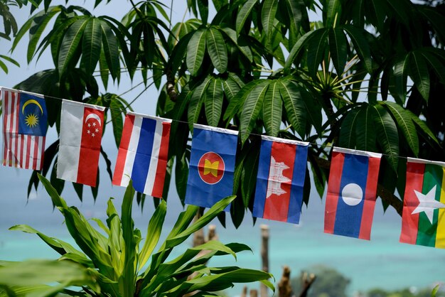 Photo close-up de drapeaux suspendus à une corde par un arbre contre la mer