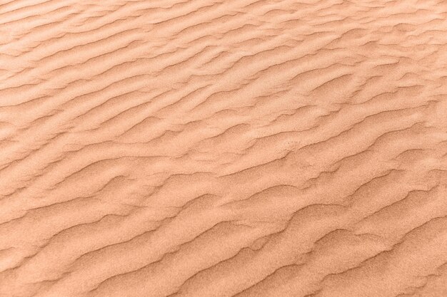 close-up du motif de sable d'une plage en été