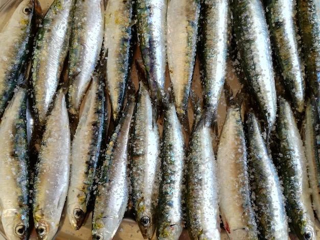 Close-up du poisson sur le marché