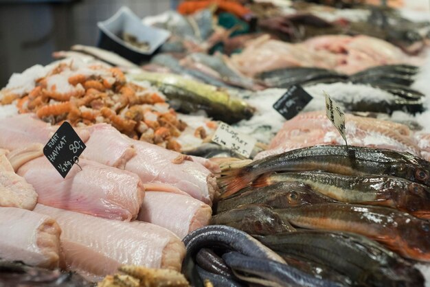 Close-up du poisson à vendre sur le marché