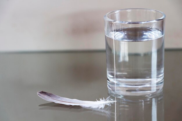 Close-up de l'eau dans le verre par plume
