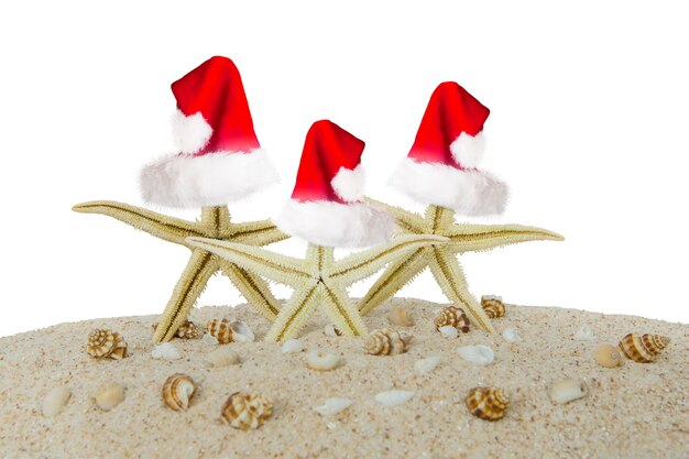 Photo close-up d'étoiles de mer mortes avec des chapeaux de père noël sur le sable sur un fond blanc