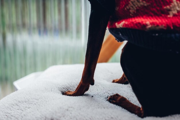 Photo close-up d'une femme âgée se détendant sur le lit