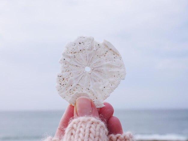 Photo close-up d'une femme tenant une coquille contre la mer