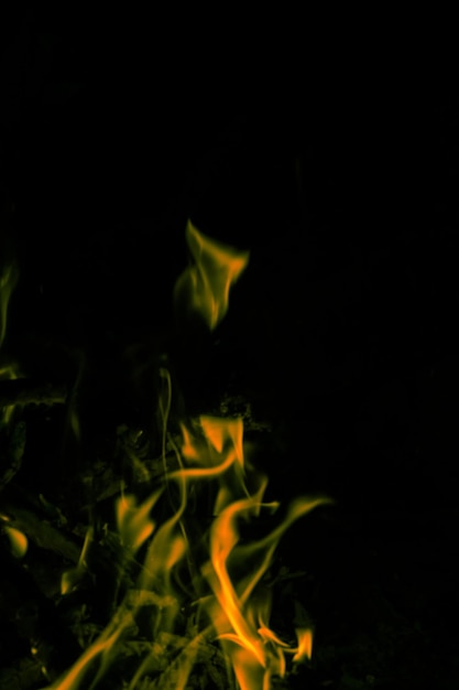 Close-up d'un feu de joie sur un fond noir