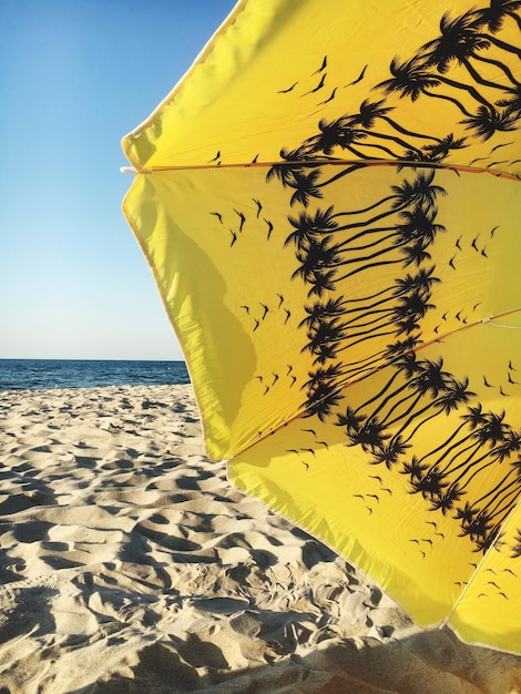 Close-up d'une feuille jaune sur la plage contre le ciel