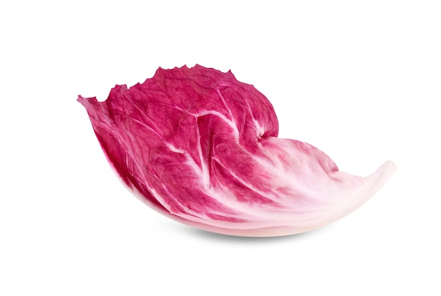 Close up feuille de radicchio fraîche