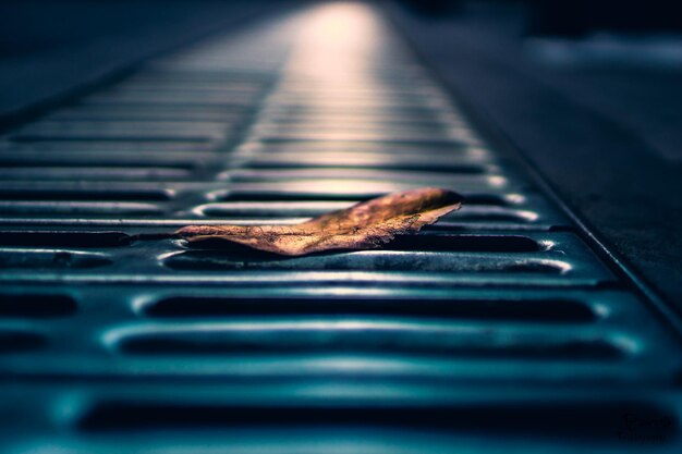 Photo close-up d'une feuille sèche sur le drain