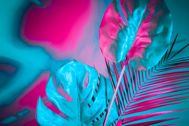 Close-up des feuilles sur un fond bleu