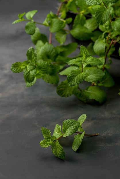 Close up de feuilles de menthe fraîche sur un fond de texture de pierre