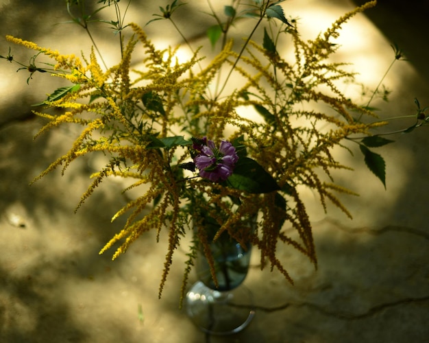 Photo close-up de fleurs sur un fond flou