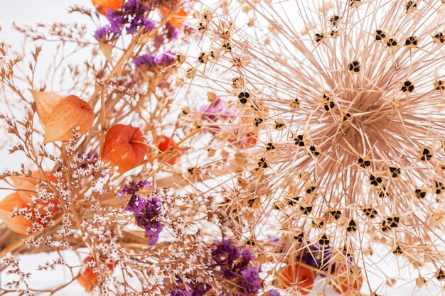 Photo close-up des fleurs qui poussent sur l'arbre