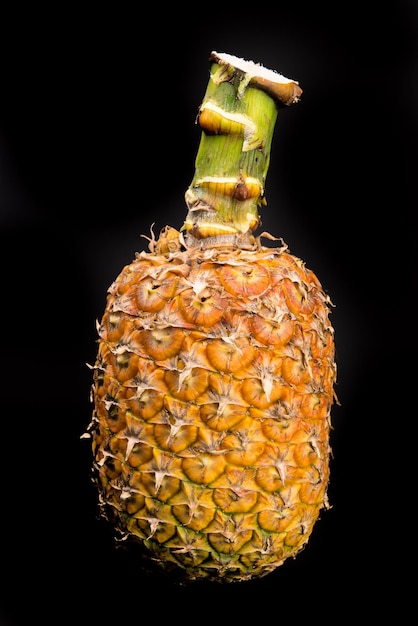 Photo close-up de fruits sur un fond noir