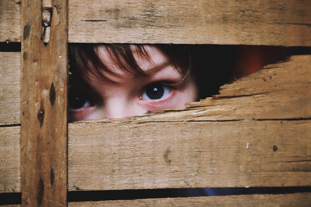 Close-up d'un garçon qui regarde à travers le bois