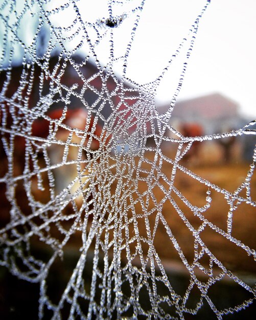 Photo close-up de gouttes d'eau sur une toile de cob