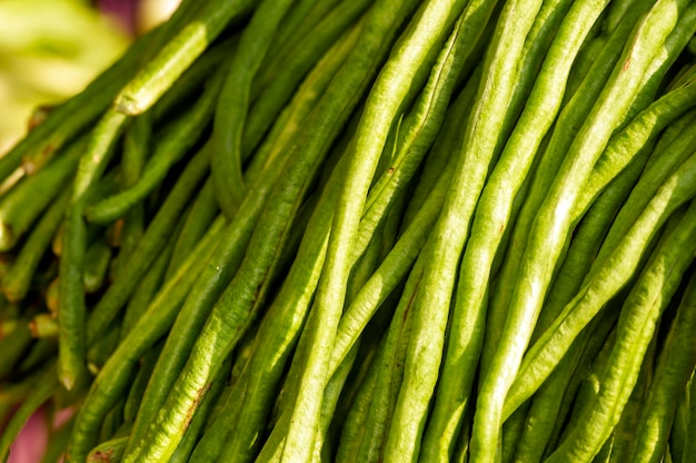 Close up de haricots longs Vigna unguiculata subsp sesquipedalis